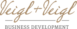 Veigl & Veigl Logo